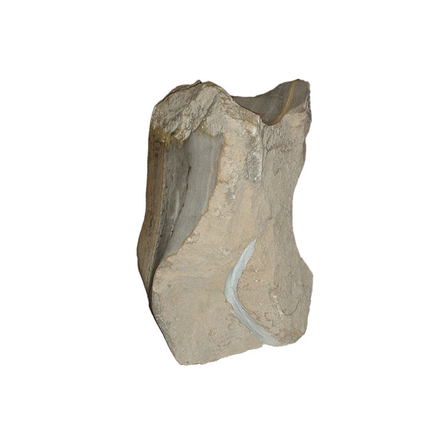 רקדן אוניקס