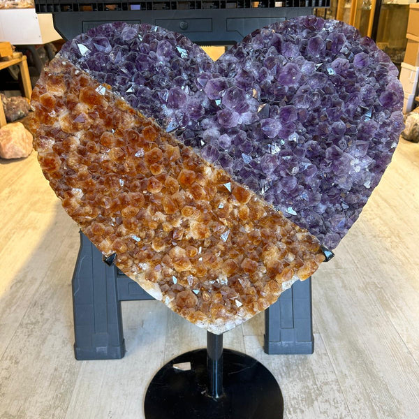 לב מאמטיסט וציטרין עם מעמד ברזל