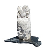 בעל חיים, צמח, מינרל