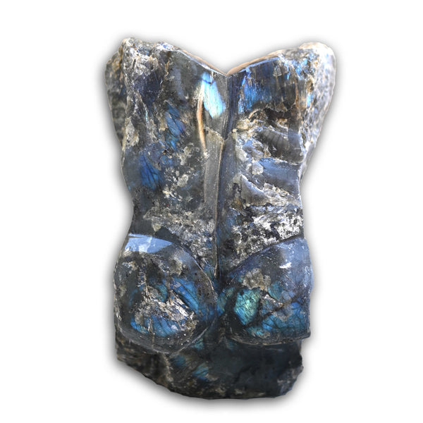 טורסו מלברדוריט