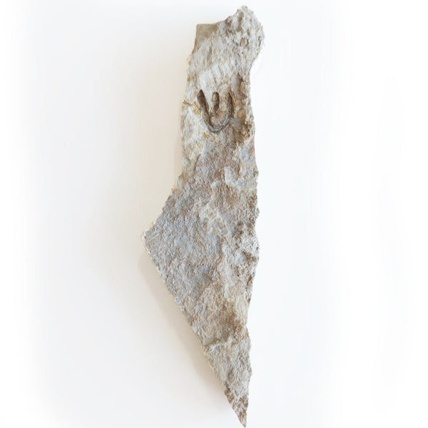 מזוזות מודרניות,  יודאיקה מזוזות, יודאיקה ישראל