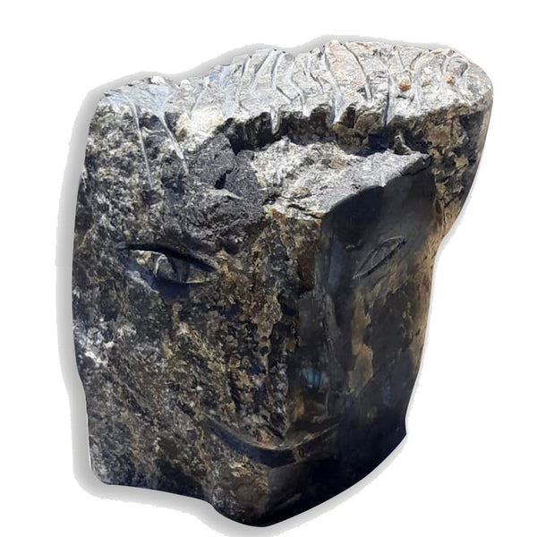 פני לאברדורייט