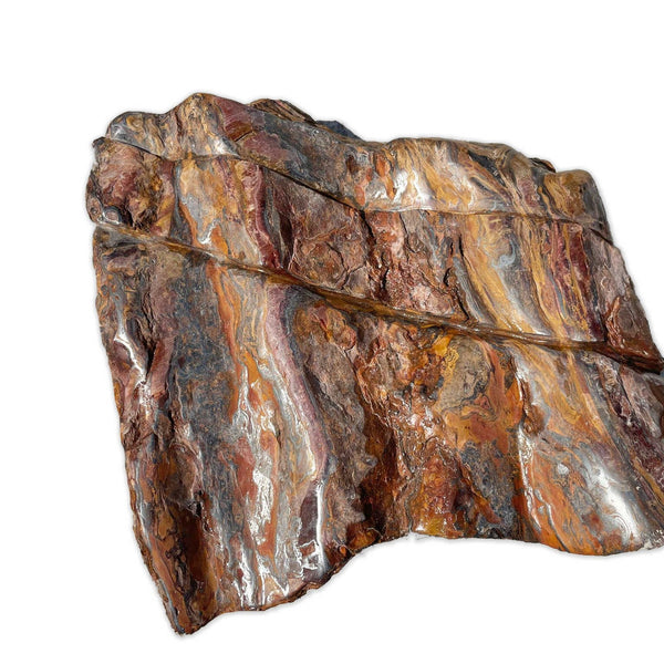 דרך עיני הנמר