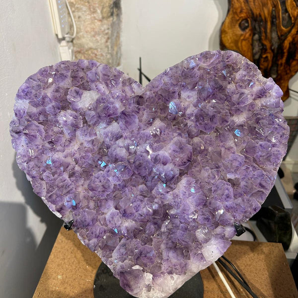 מושבת אמטיסט בצורת