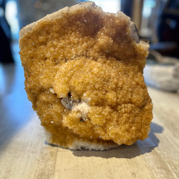 מושבת ציטרין