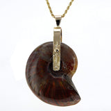 Spiral pendant - Fossil