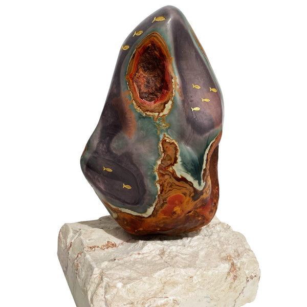 דגי אוקיינוס